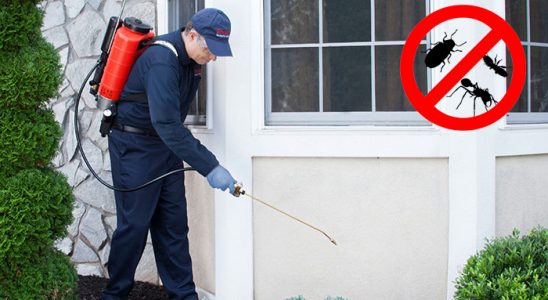 Talas Kene İlaçlama böcek ilaçlama ve haşere kontrolü — ilaclama-tr.com